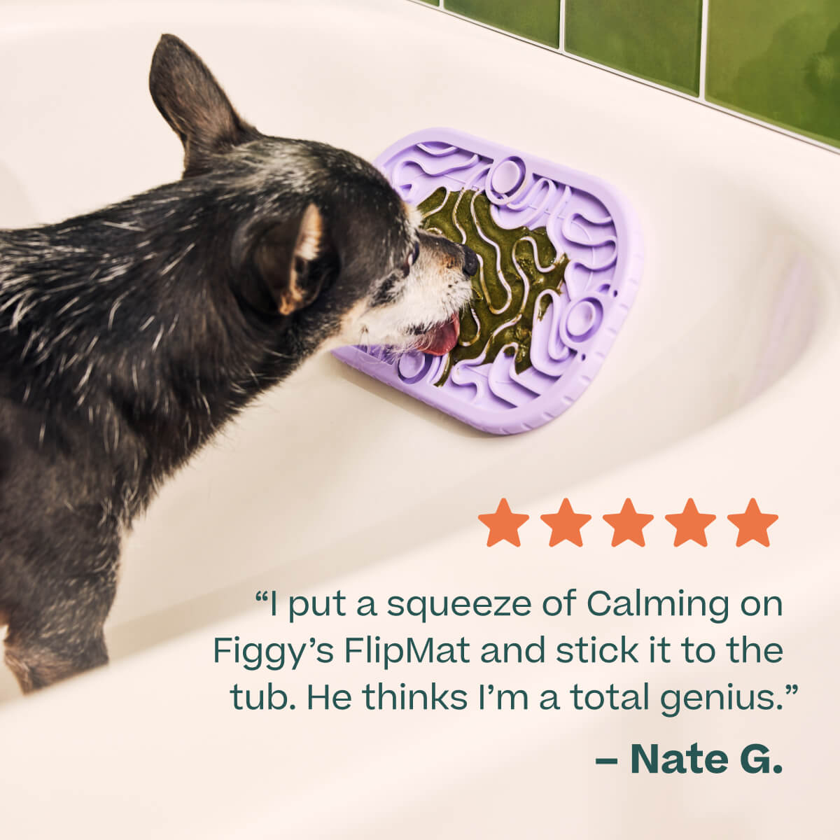 LickWells Calming Support | Suplemento Calmante Untable para Perros - Woof