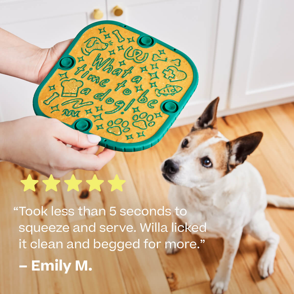 LickWells Pumpkin Butter | Mezcla Untable de Calabaza para Perros - Woof