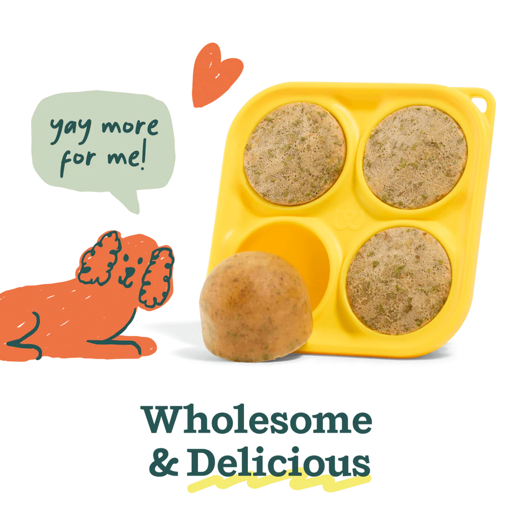 Pupsicle Pops Muestra de 4 Sabores Funcionales para Perros | Mezcla Casera para The Pupsicle - Woof