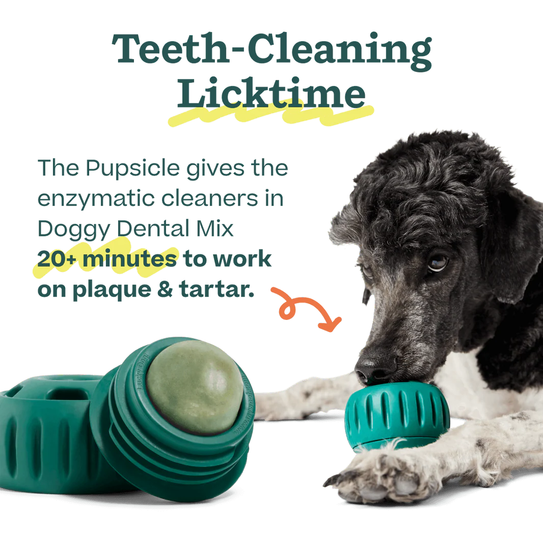Pupsicle Pops Dentales para Perros | Mezcla Casera para The Pupsicle - Woof