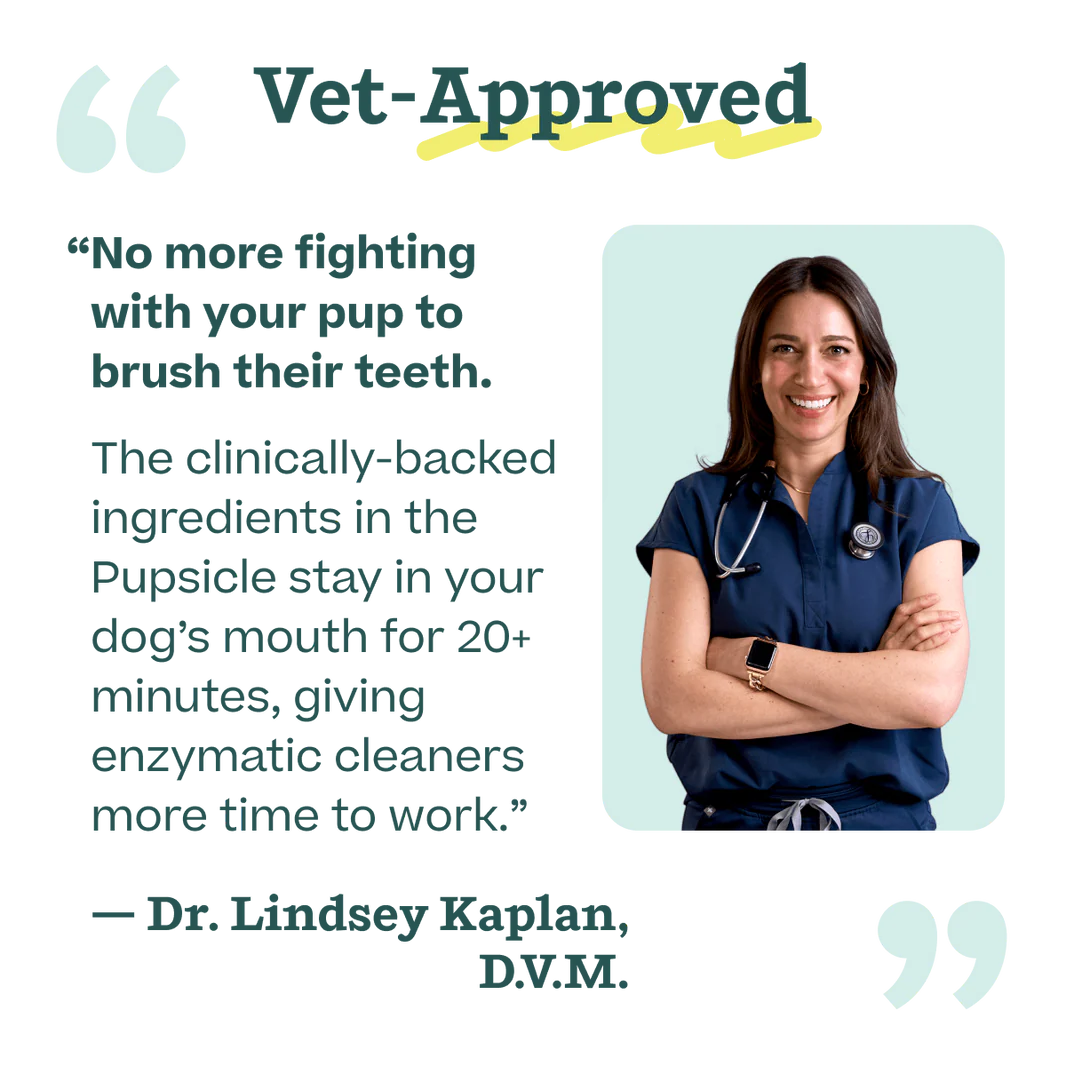 Pupsicle Pops Dentales para Perros | Mezcla Casera para The Pupsicle - Woof