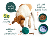 Perro jugando con el Walkabout de Woof dentro de casa