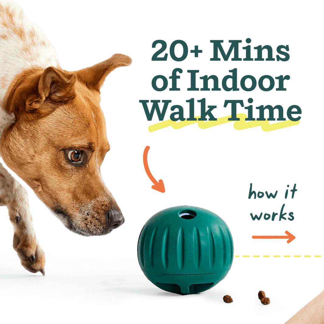 Walkabout de Woof - mas de 20 minutos de actividad dentro de casa