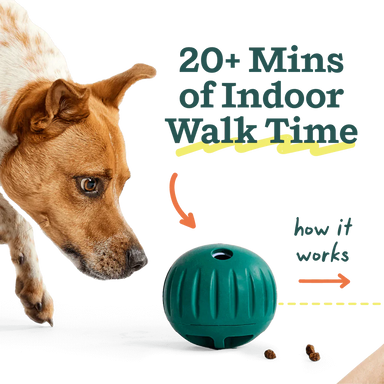 Walkabout de Woof - mas de 20 minutos de actividad dentro de casa
