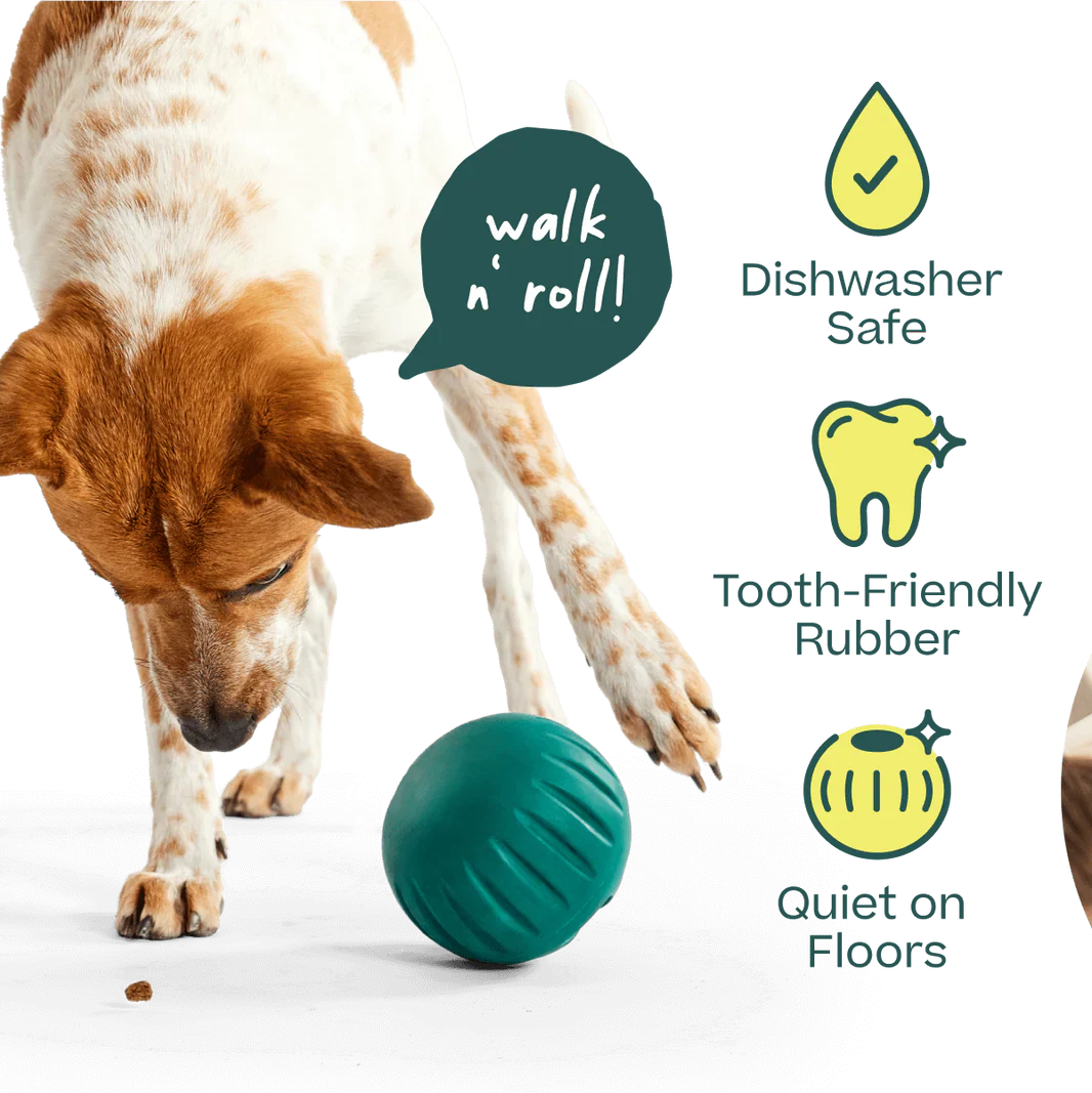 Walkabout de Woof: apto para lavavajillas, caucho amigable con los dientes y silencioso en pisos
