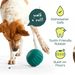 Walkabout de Woof: apto para lavavajillas, caucho amigable con los dientes y silencioso en pisos