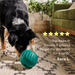 Resena de 5 estrellas del Walkabout de Woof