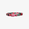 Collar para Gatos Mahalo - Zee.Dog