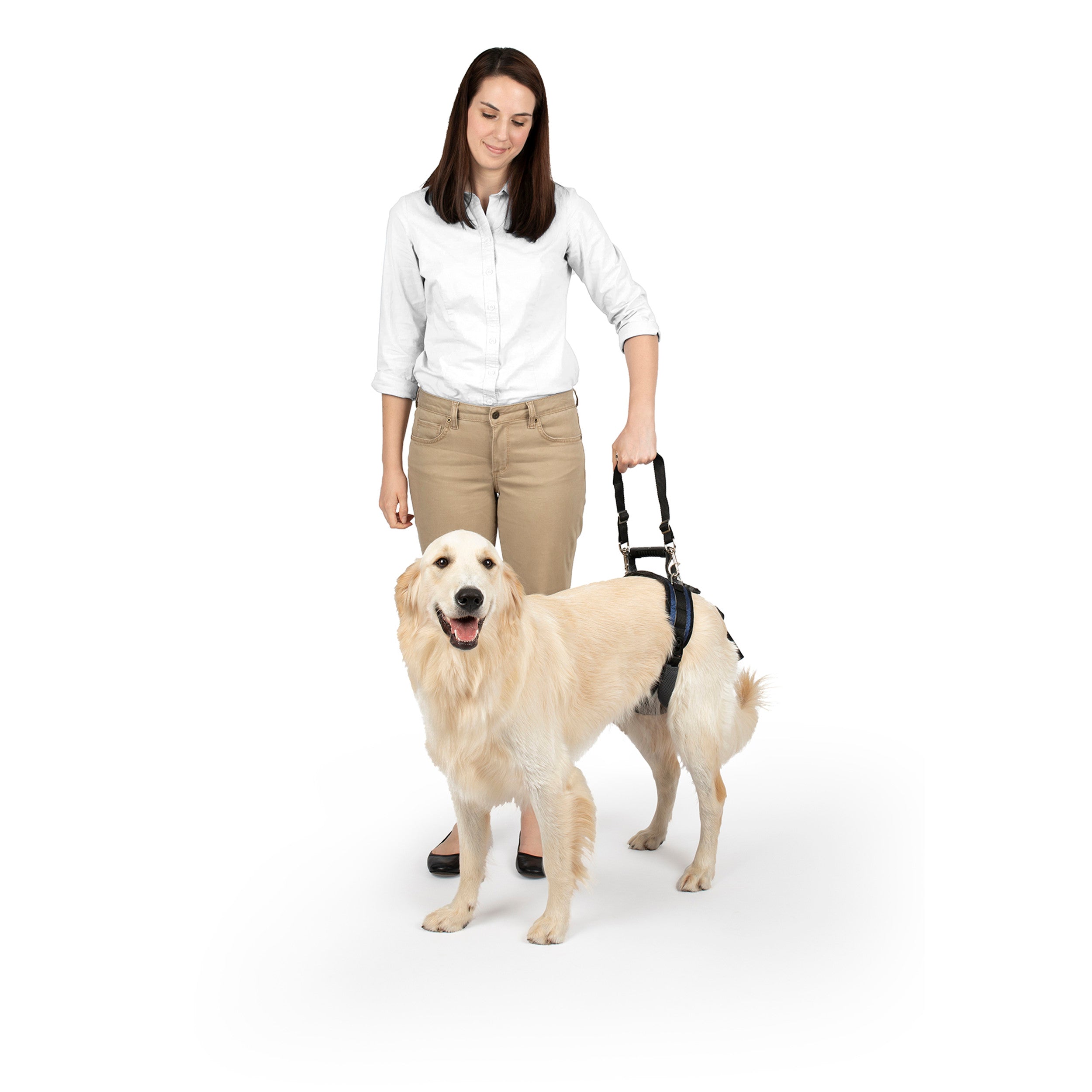 Arnés Trasero de Soporte CareLift™ para Perros | PetSafe