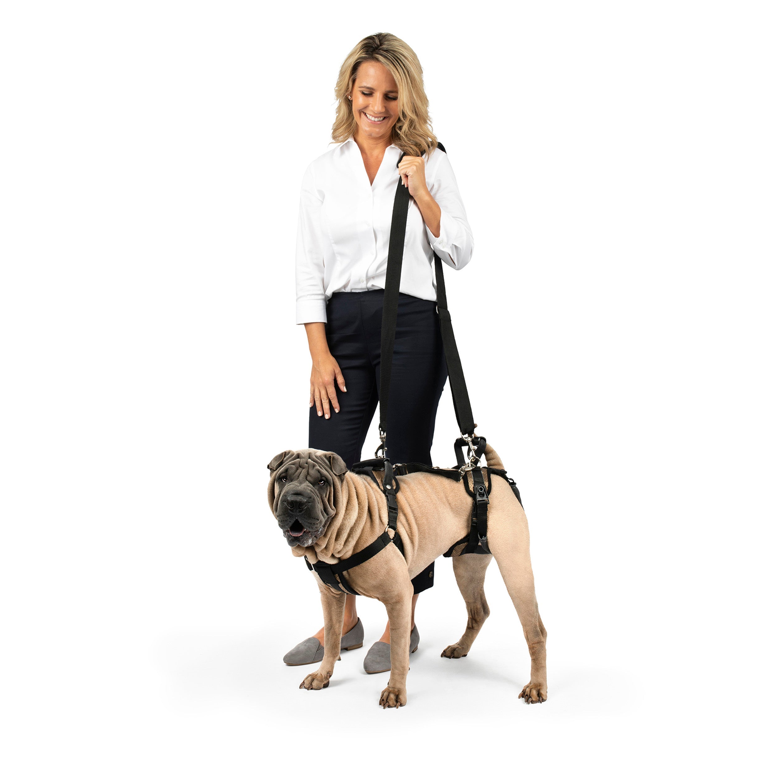 Arnés de Soporte Integral CareLift™ para Perros | PetSafe