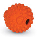 Dispensador de Premios para Perros Pez Globo Tough & Tumble | Brightkins