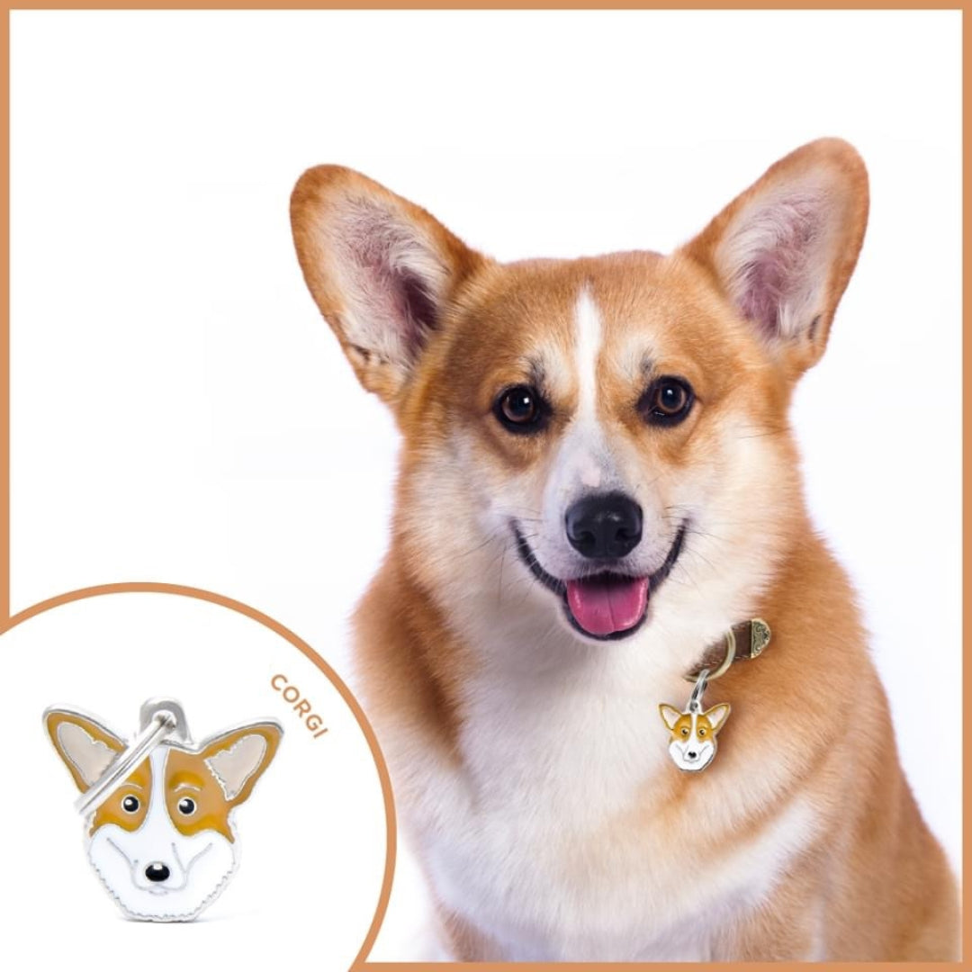 Placa ID en Forma de Corgi para Perros