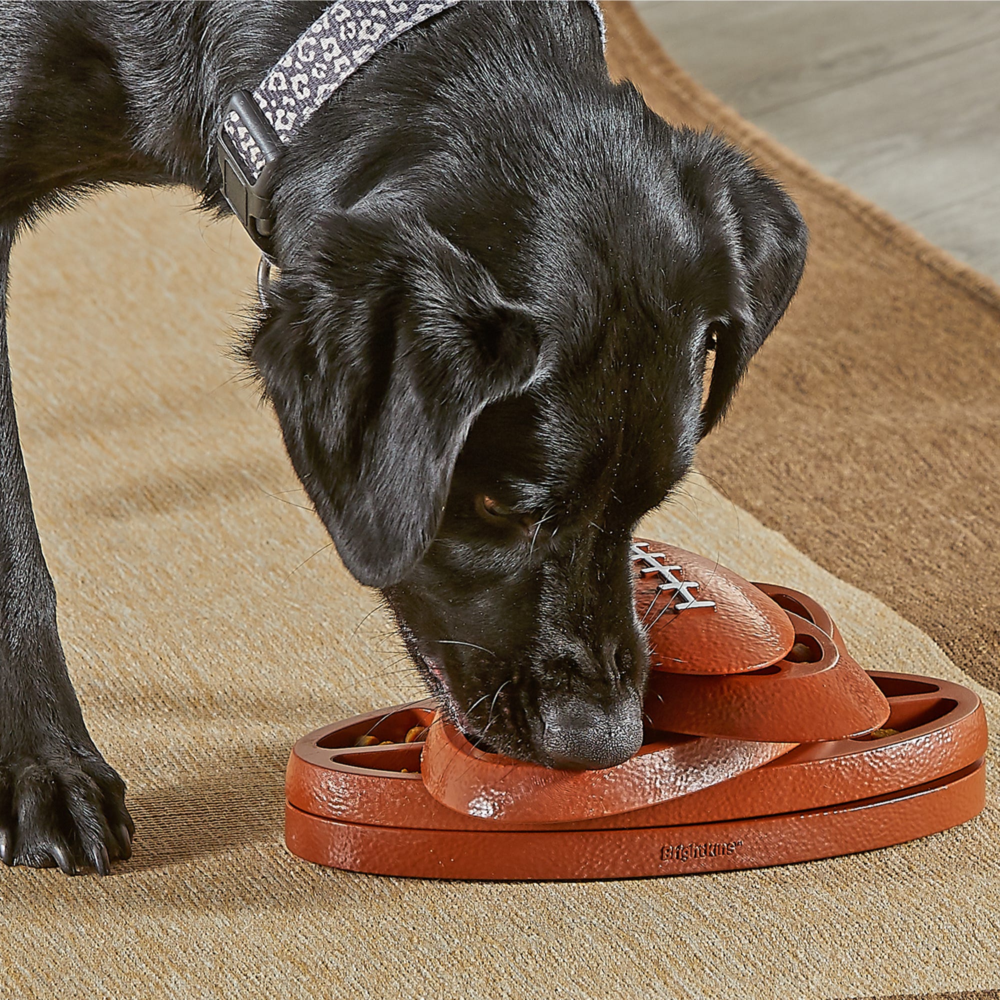 Juguete Rompecabezas para Perros Touchdown Time | Brightkins