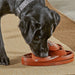 Juguete Rompecabezas para Perros Touchdown Time | Brightkins