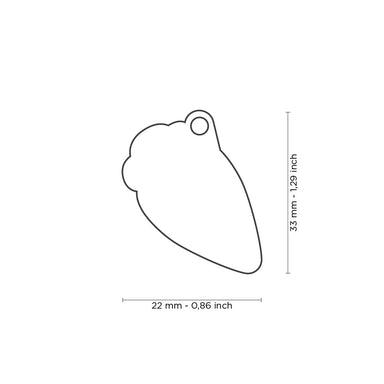 Placa ID Charms en Forma de Zanahoria para Perros y Gatos | MyFamily 🥕