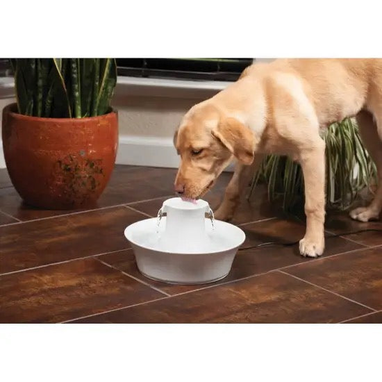 Drinkwell® 360 Avalon Ceramic Fountain -Fuente de Agua Automática para Perros