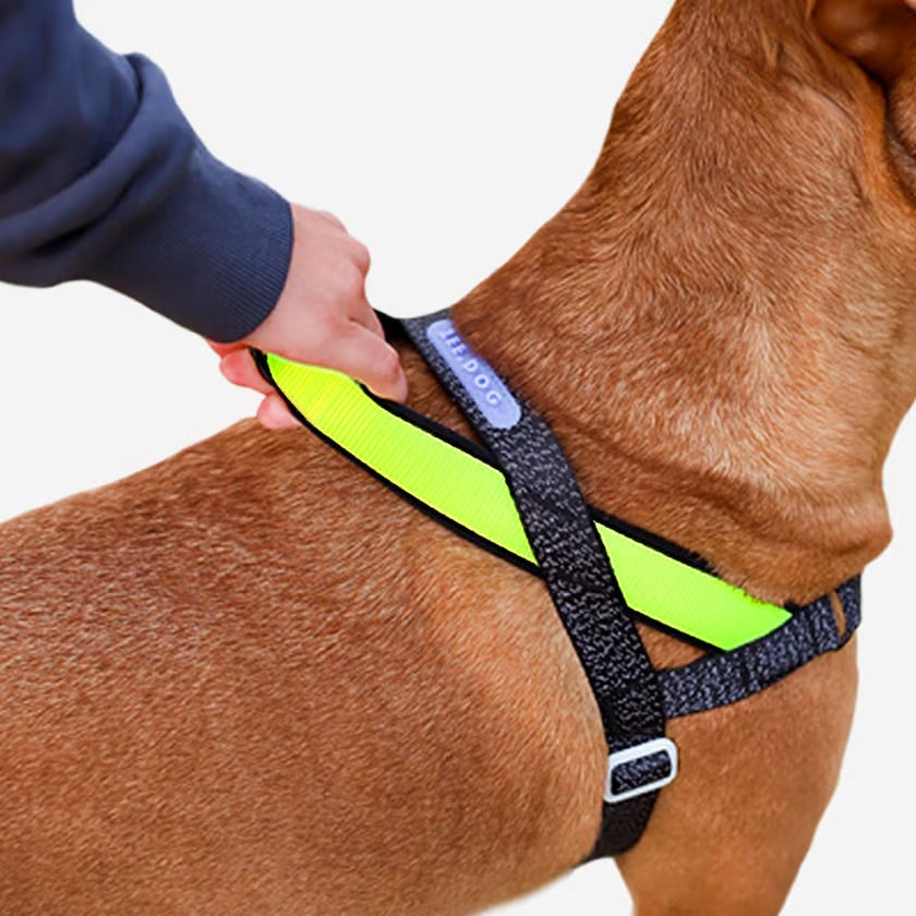 Arnés para Perros Nox - Softer Walk Harness Zee.Dog