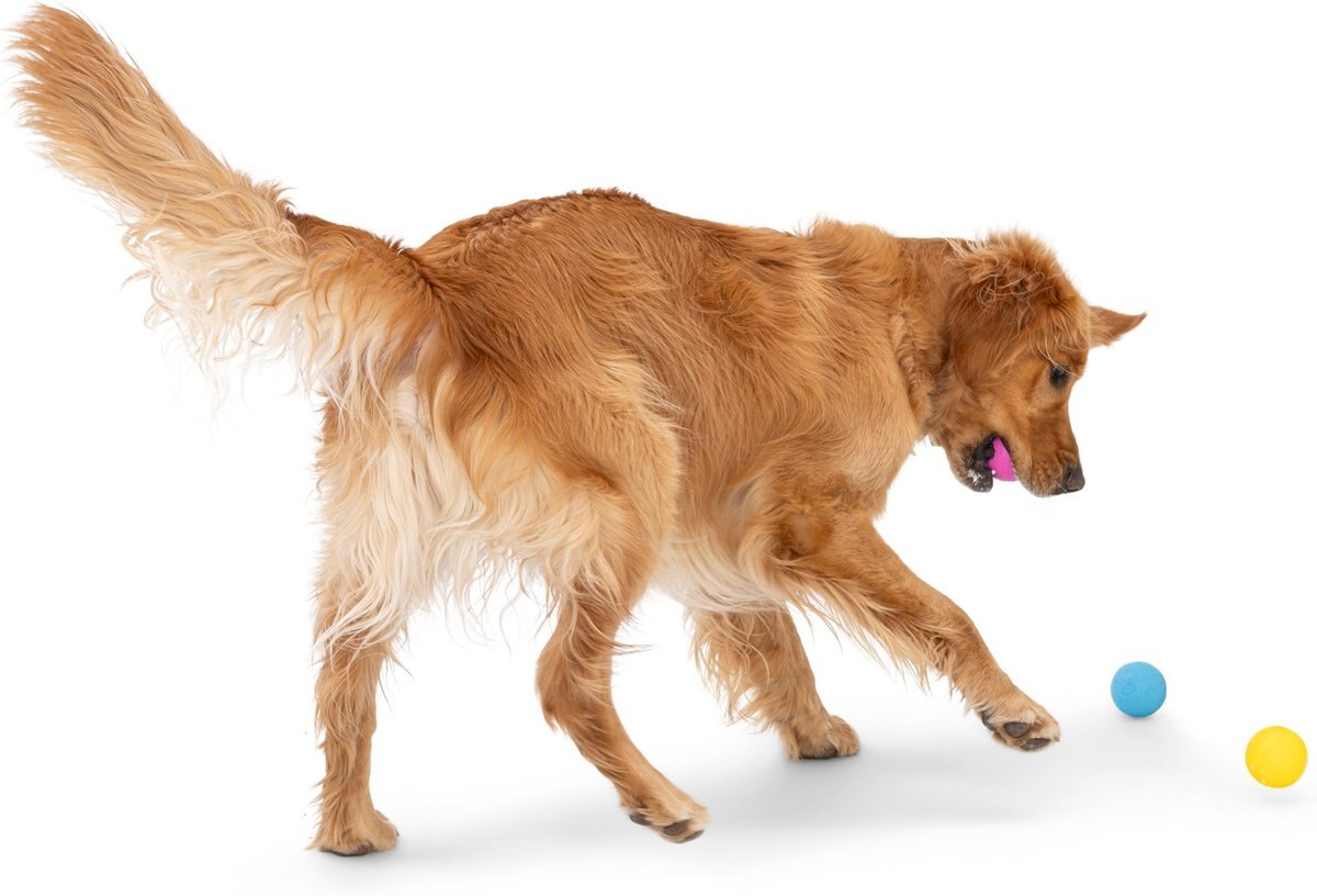 Boundr Glow de West Paw® Tamaño Grande – Pelota Squishy que Brilla en la Oscuridad para Perros