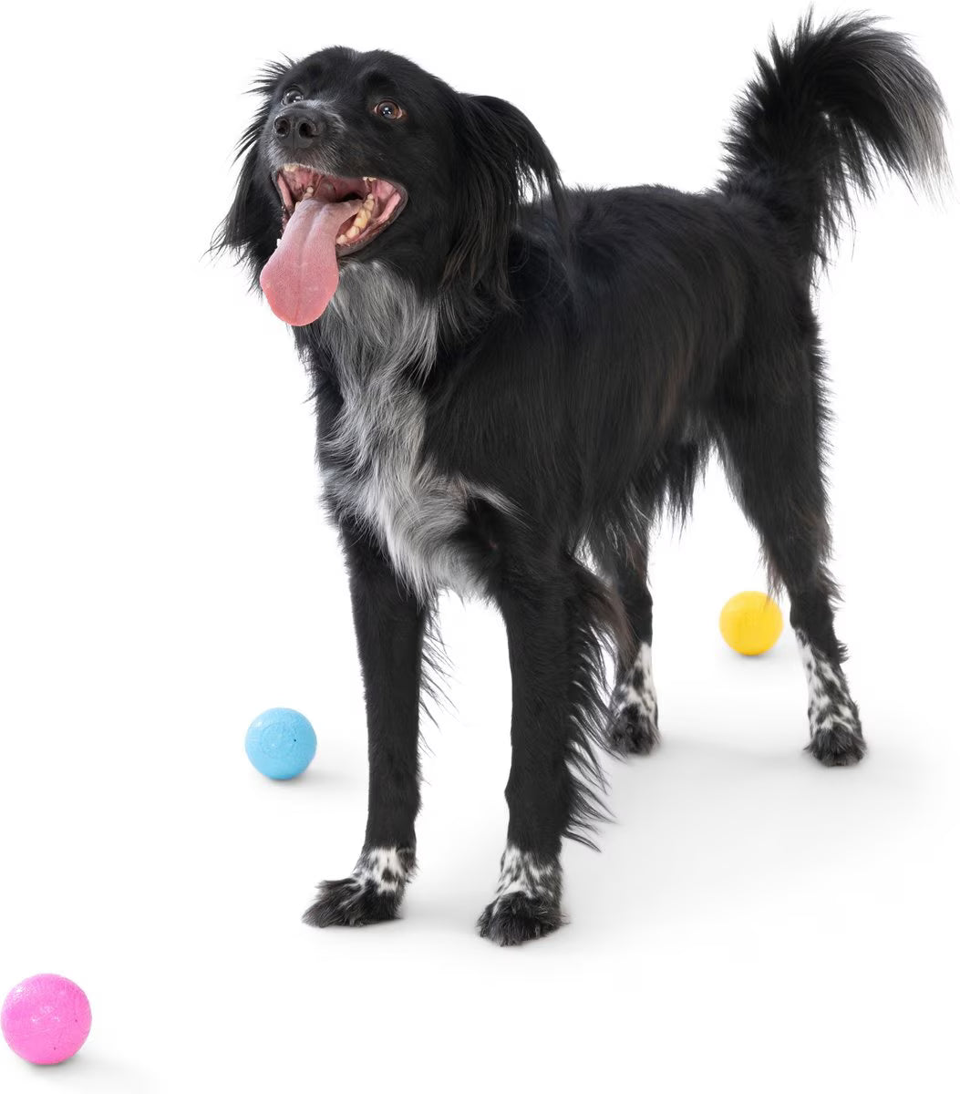 Boundr Glow de West Paw® Tamaño Grande – Pelota Squishy que Brilla en la Oscuridad para Perros