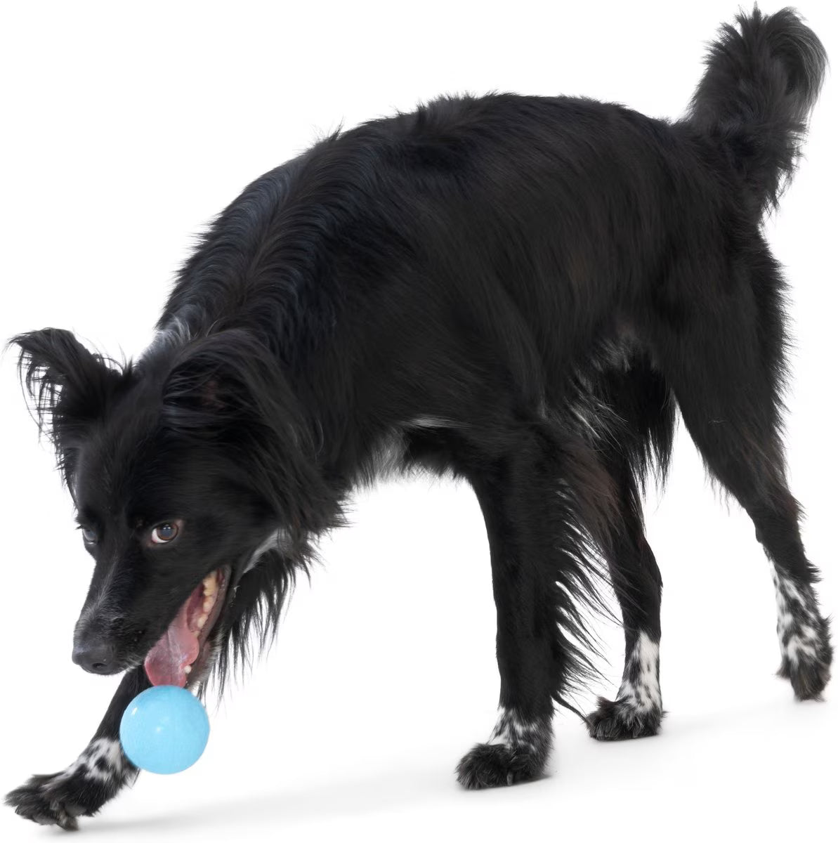 Boundr Glow de West Paw® Tamaño Grande – Pelota Squishy que Brilla en la Oscuridad para Perros