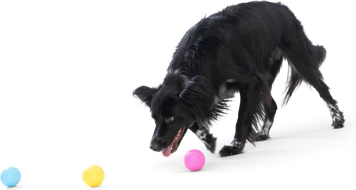 Boundr Glow de West Paw® Tamaño Grande – Pelota Squishy que Brilla en la Oscuridad para Perros