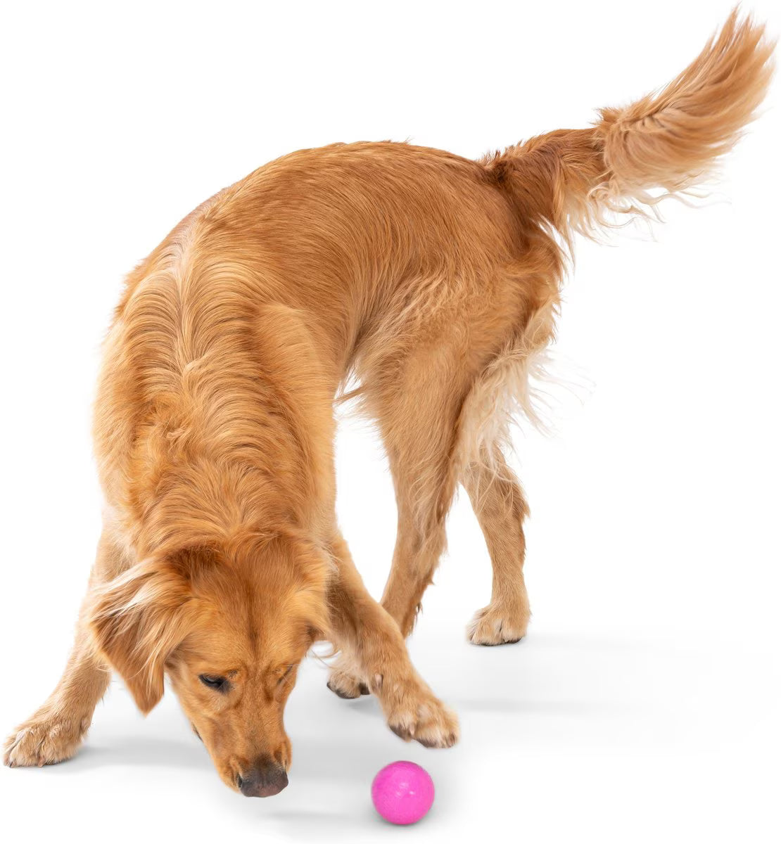 Boundr Glow de West Paw® Tamaño Grande – Pelota Squishy que Brilla en la Oscuridad para Perros