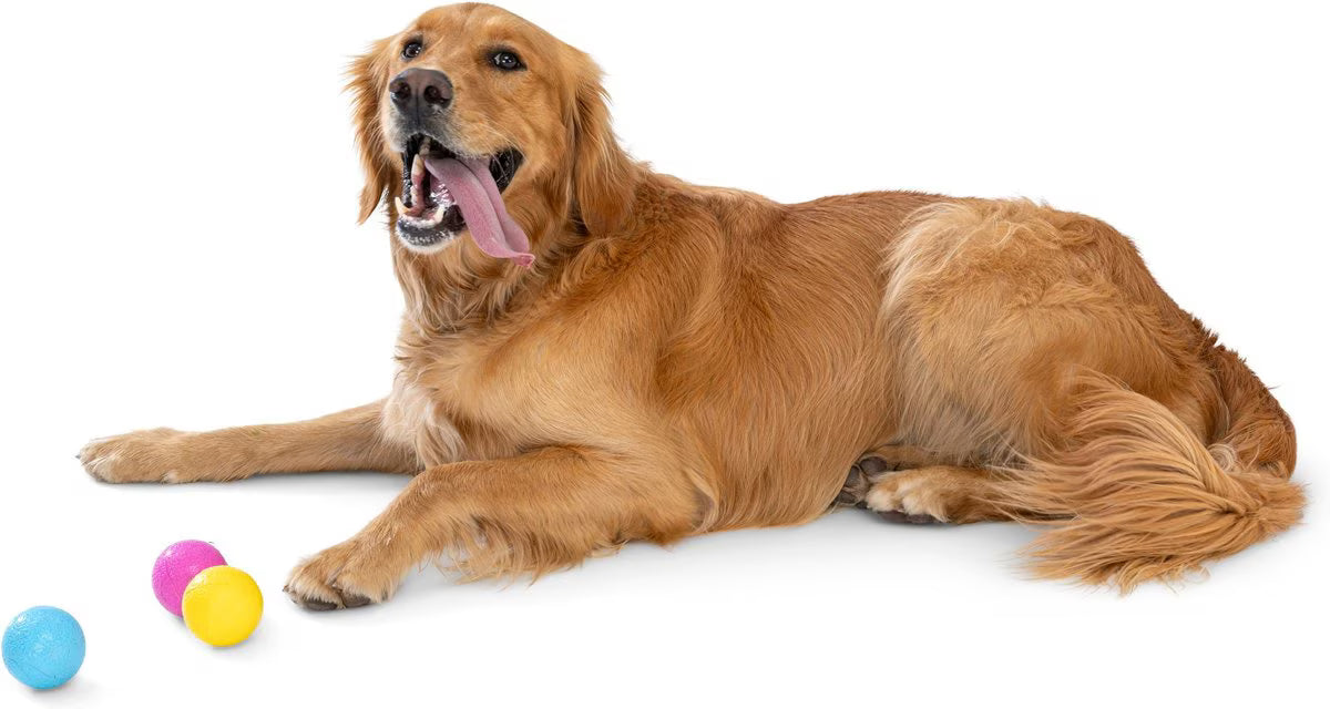 Boundr Glow de West Paw® Tamaño Grande – Pelota Squishy que Brilla en la Oscuridad para Perros