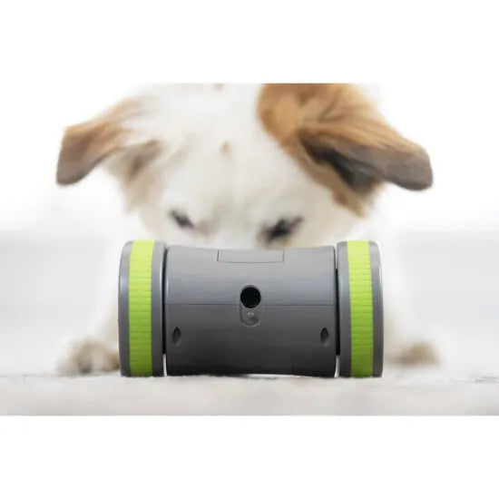Kibble Chase Juguete Electrónico para Entretener a tu Perro - PetSafe