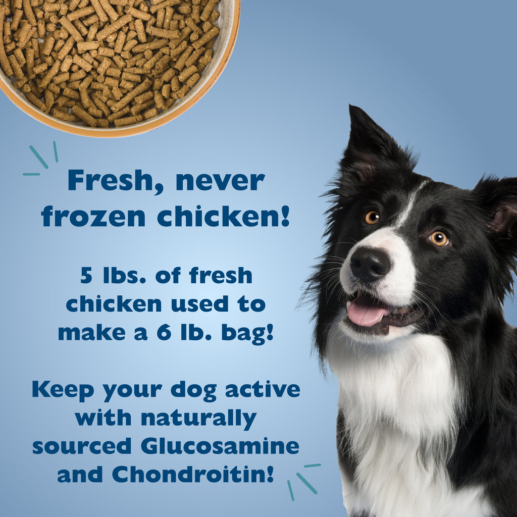 Alimento Picky No More™ para Perros de Raza Mediana y Grande | Bil-Jac