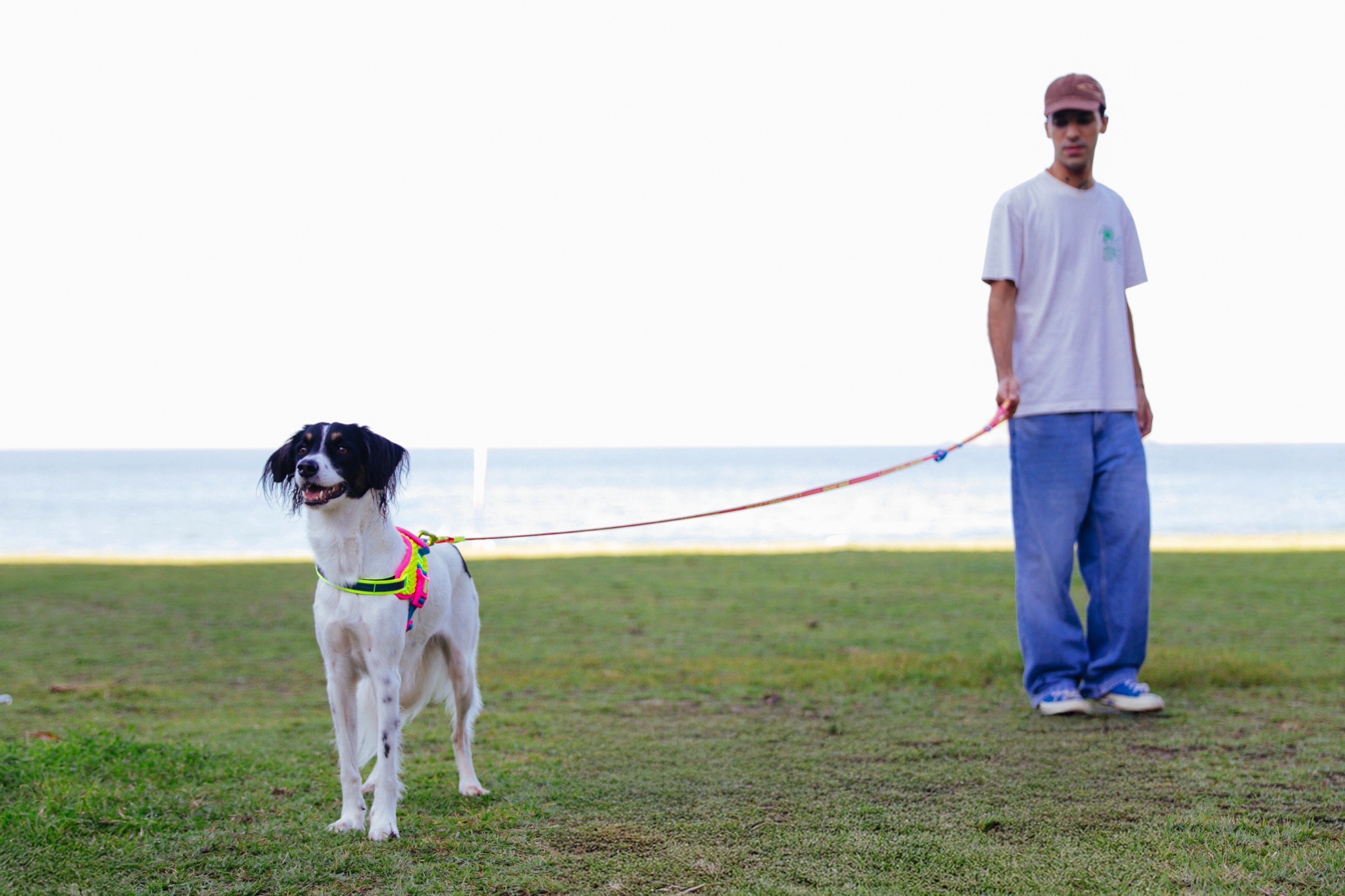 Correa Larga para Perro Zee.Dog Primo DRAGO - Ajustable y Resistente