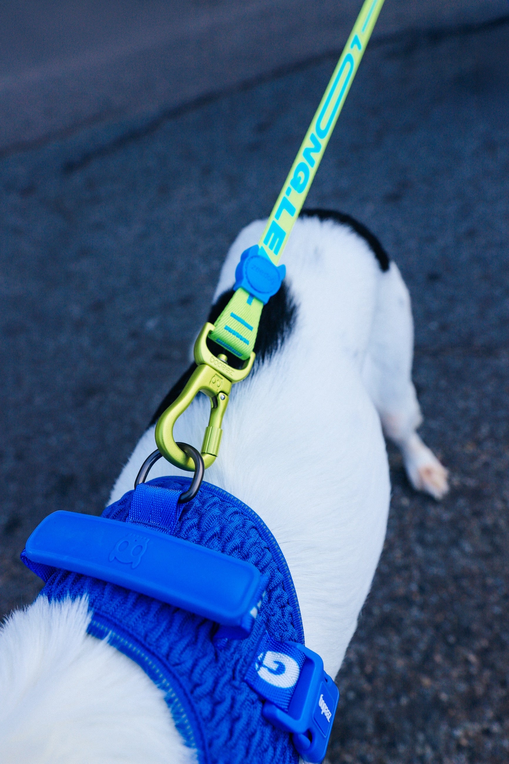 Correa Larga para Perro Zee.Dog Rayo - Ajustable y Resistente