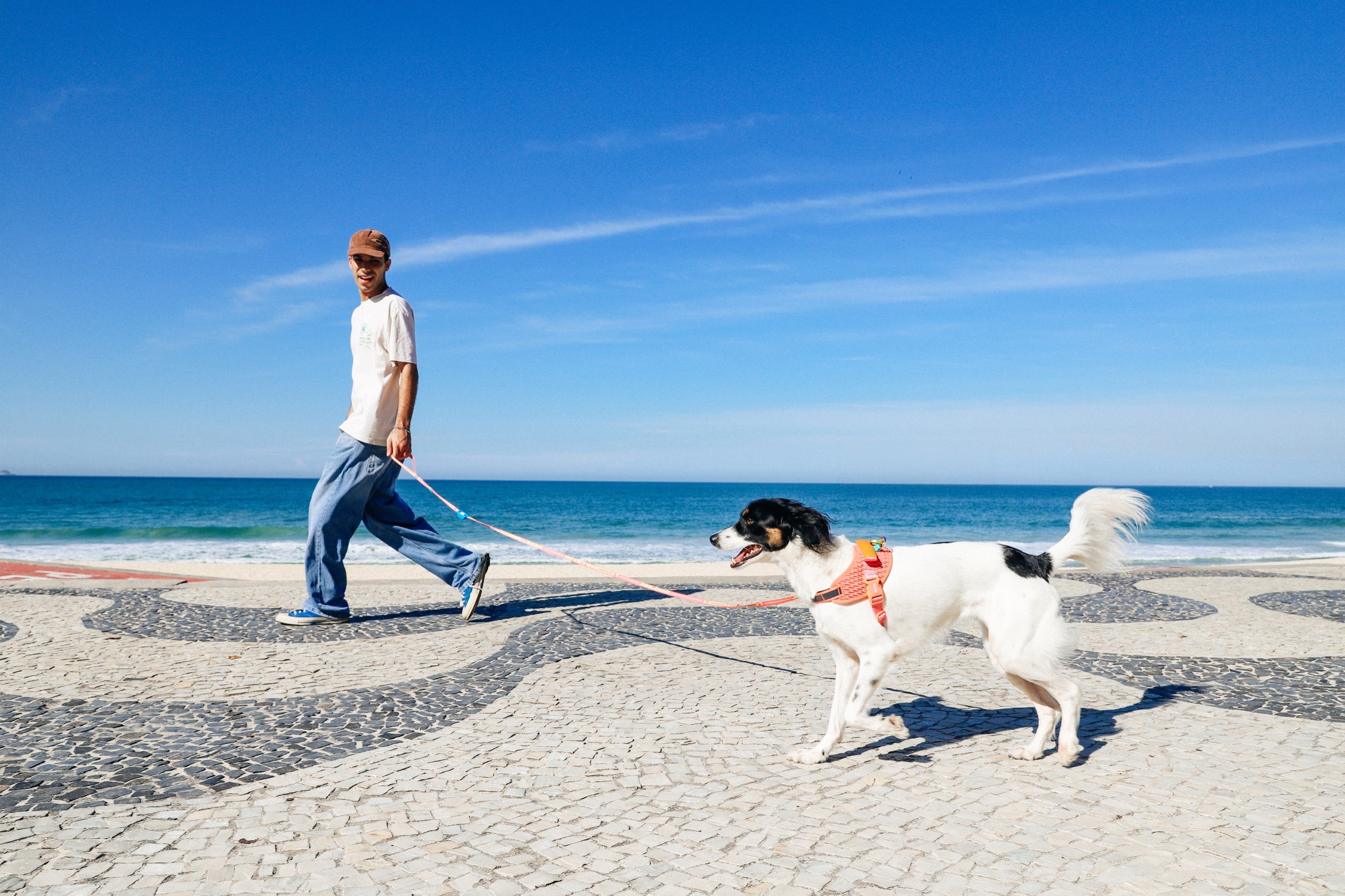 Correa Larga para Perro Zee.Dog Primo DRAGO - Ajustable y Resistente