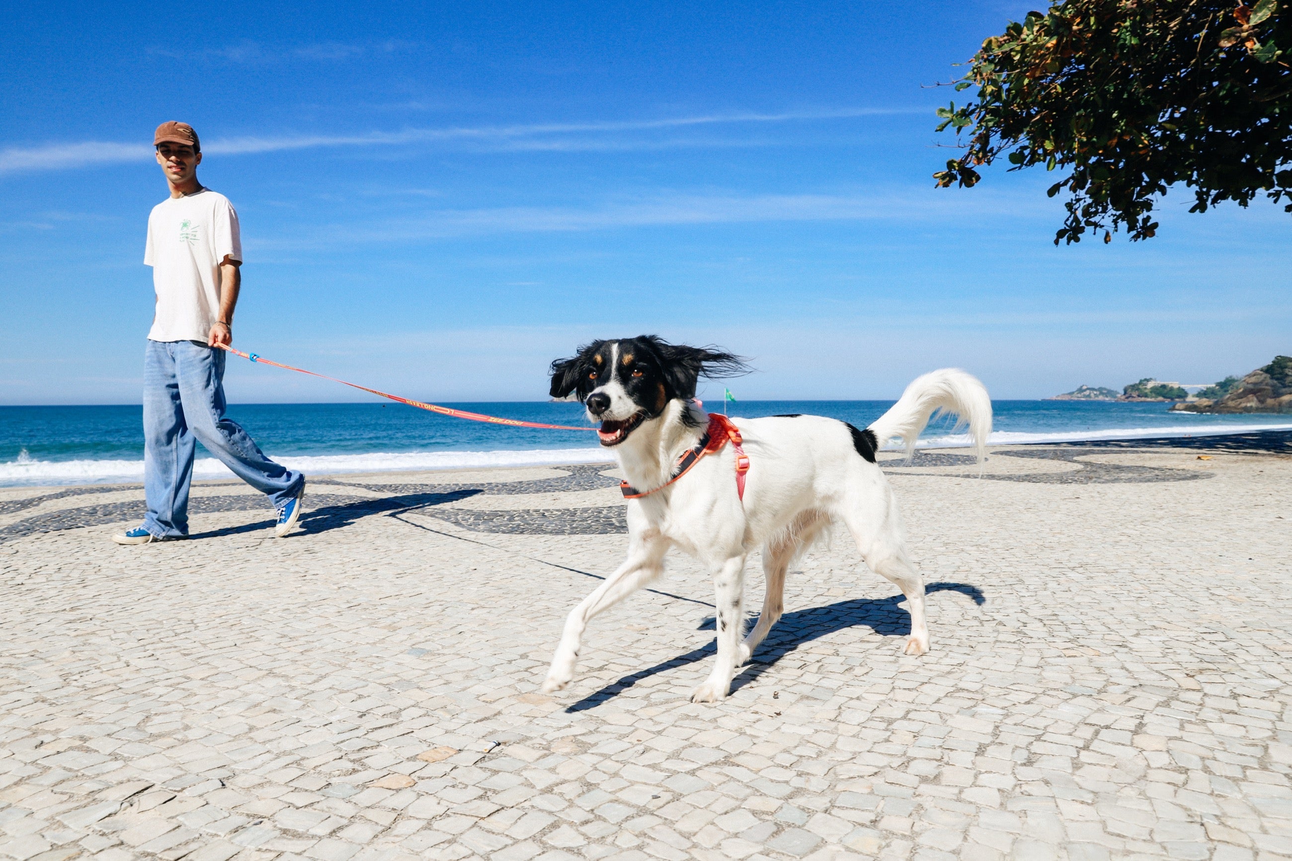 Correa Larga para Perro Zee.Dog Primo DRAGO - Ajustable y Resistente