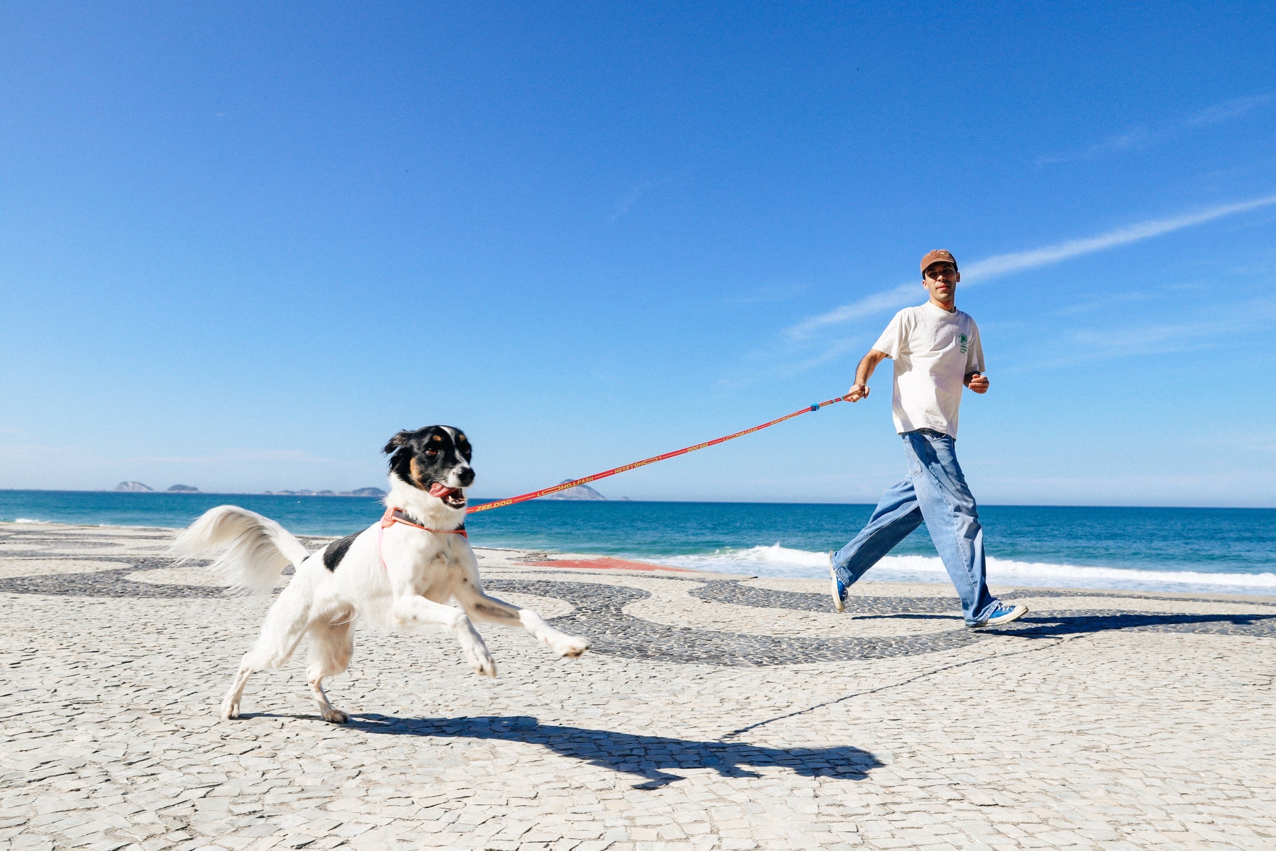 Correa Larga para Perro Zee.Dog Primo DRAGO - Ajustable y Resistente