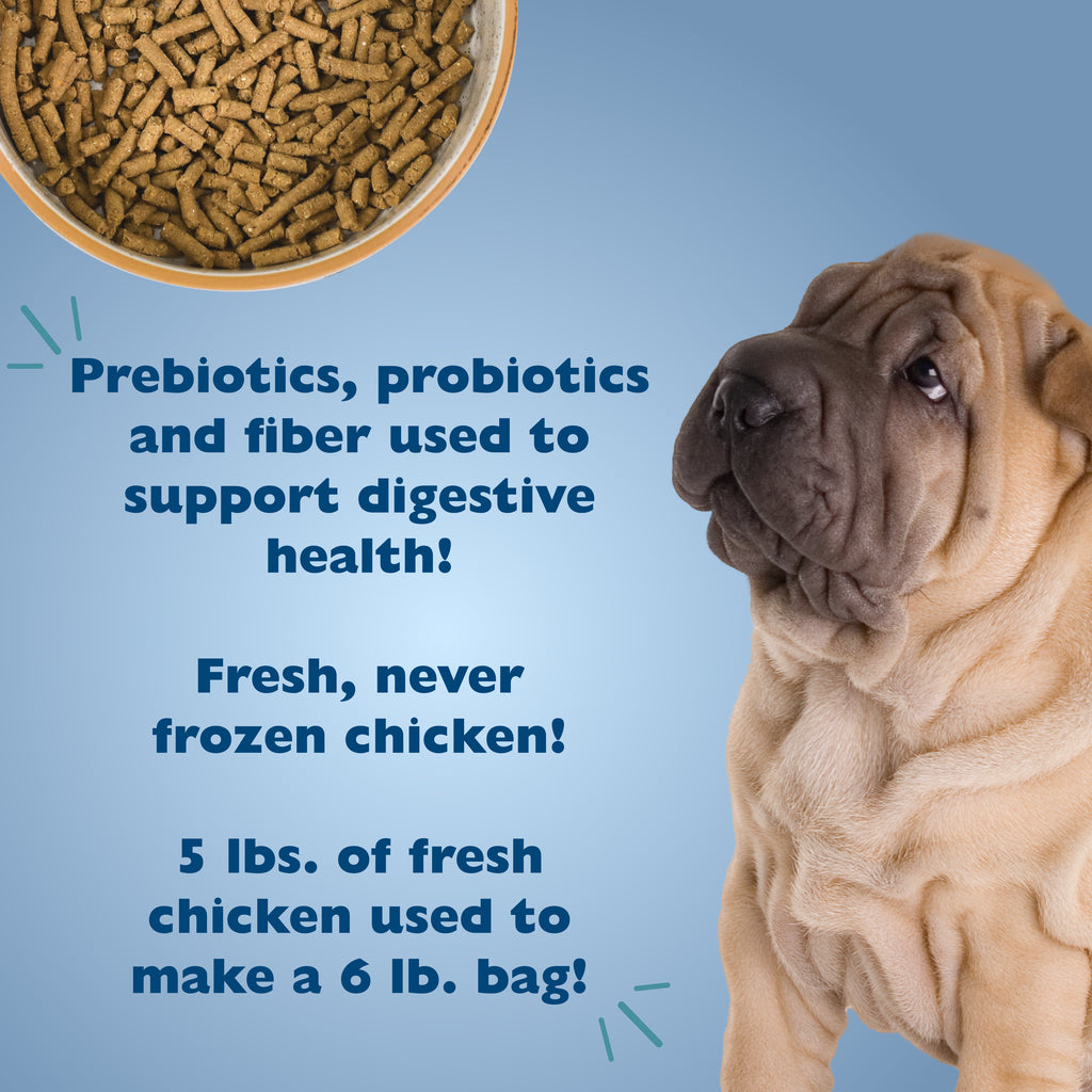 Alimento para Perros Sensitive Solutions - Soporte Digestivo e Inmunológico | Bil-Jac