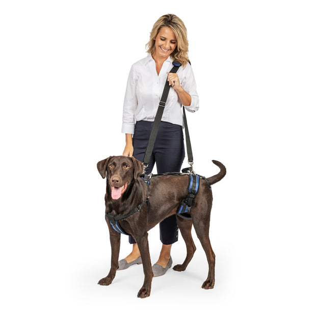 Arnés de Soporte Integral CareLift™ para Perros | PetSafe
