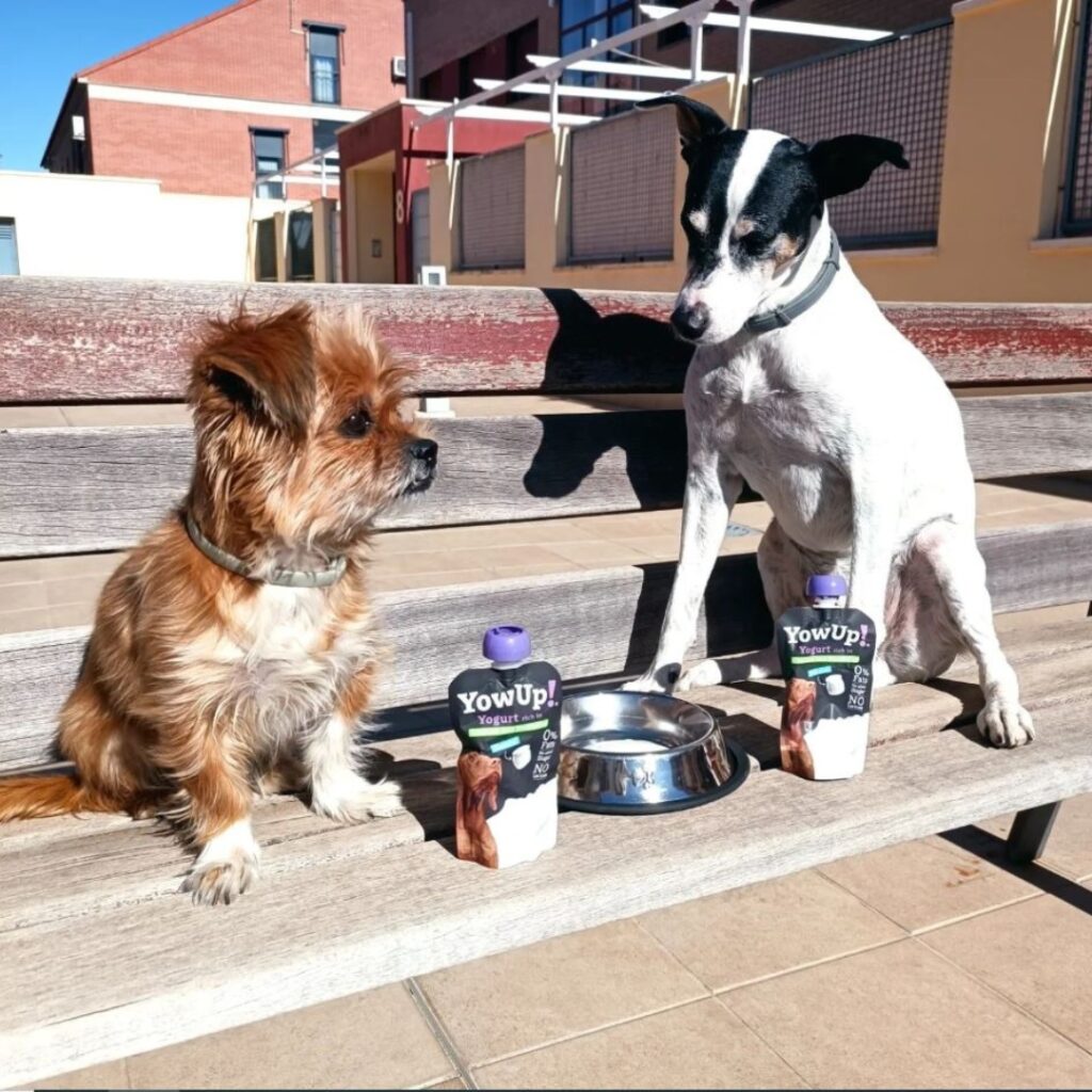 Yogur Funcional Natural con Prebióticos para Perros - Prebióticos | YowUp