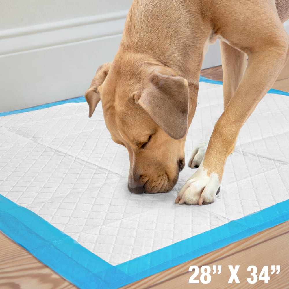 Tapete Entrenador para Perros Wee-Wee® XL Runoff Edge Guard – 71.1 × 86.4 cm (28 × 34 in) – 75 Piezas