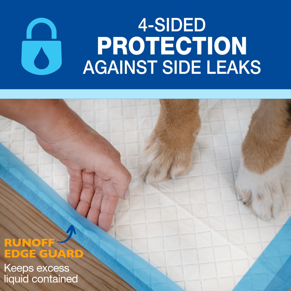 Tapete Entrenador para Perros Wee-Wee® XL Runoff Edge Guard – 71.1 × 86.4 cm (28 × 34 in) – 75 Piezas