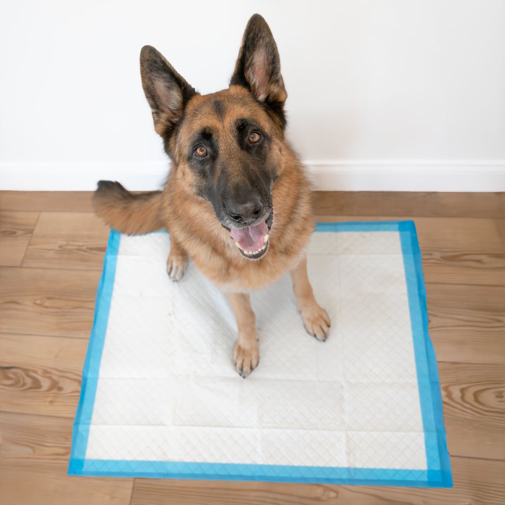 Tapete Entrenador para Perros Wee-Wee® XL Runoff Edge Guard – 71.1 × 86.4 cm (28 × 34 in) – 75 Piezas