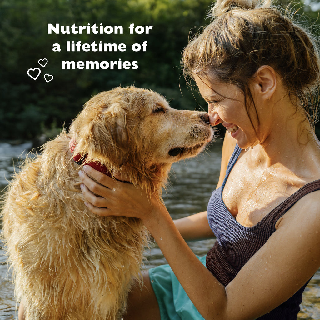 Alimento Picky No More™ para Perros de Raza Mediana y Grande | Bil-Jac