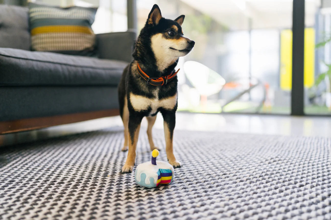 El Pastel Bone-appetit - Juguete de Peluche para Perros Party Time™ | Pet P.L.A.Y.