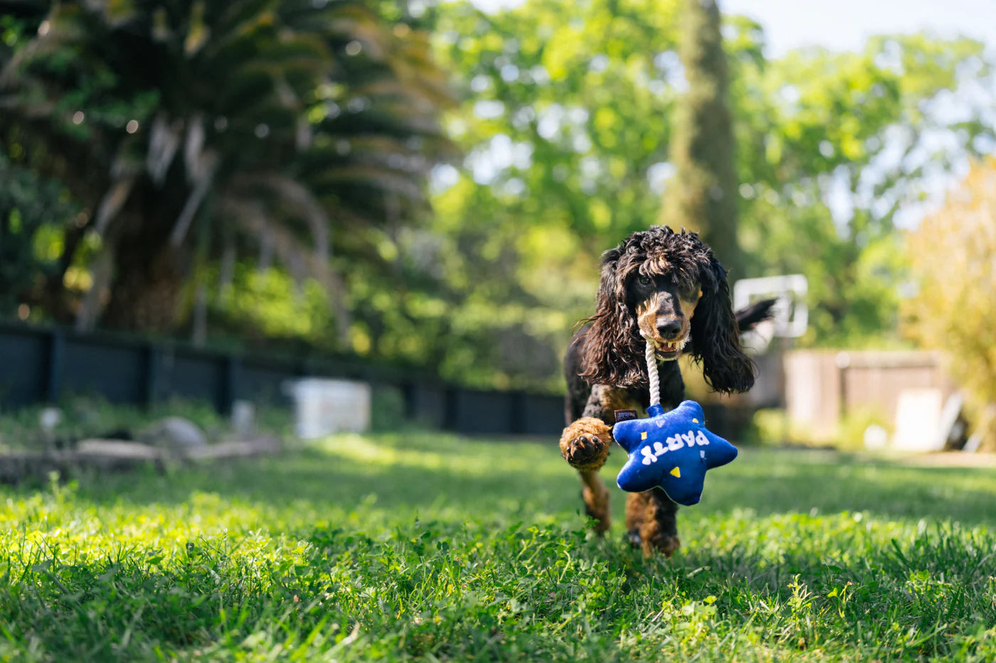 El Globo Fiesta - Juguete de Peluche para Perros Party Time™ | Pet P.L.A.Y.