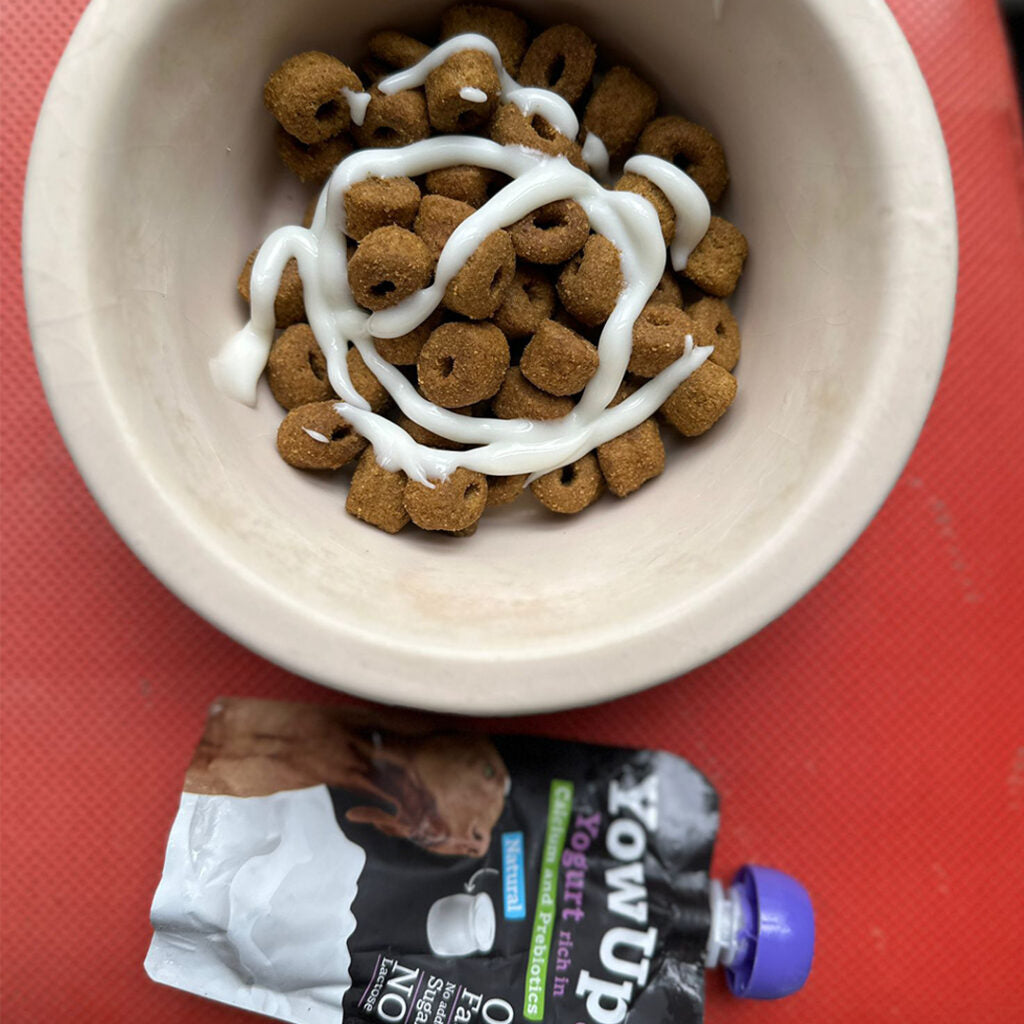 Yogur Funcional Natural con Prebióticos para Gatos - Salud Digestiva | YowUp