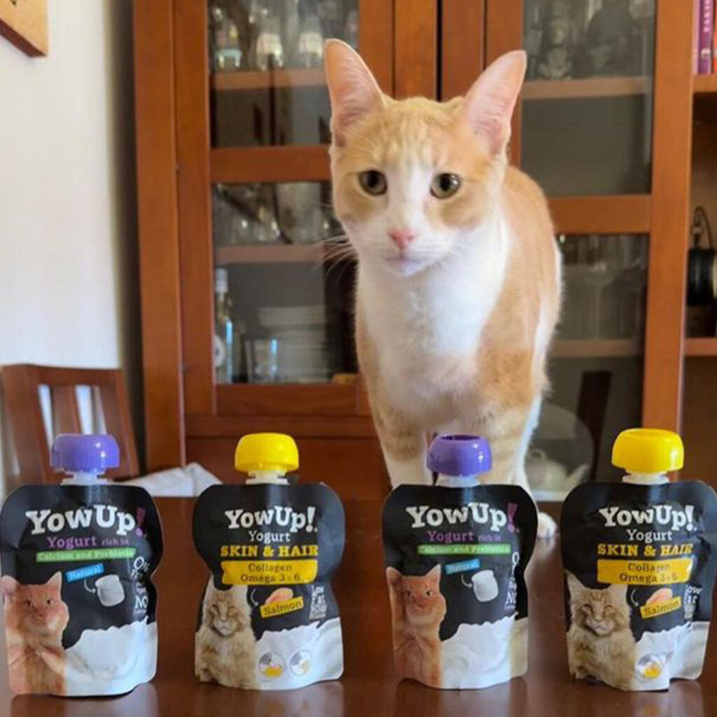 Yogur Funcional para Gatos Piel y Pelaje - Salmón Skin & Hair | YowUp