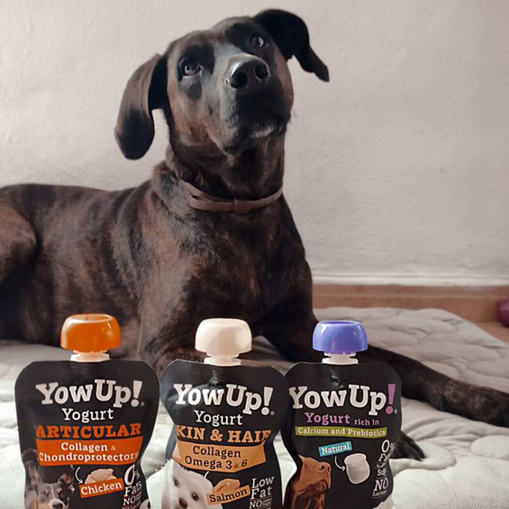 Yogur Funcional para Perros Articulaciones - Pollo Articular | YowUp
