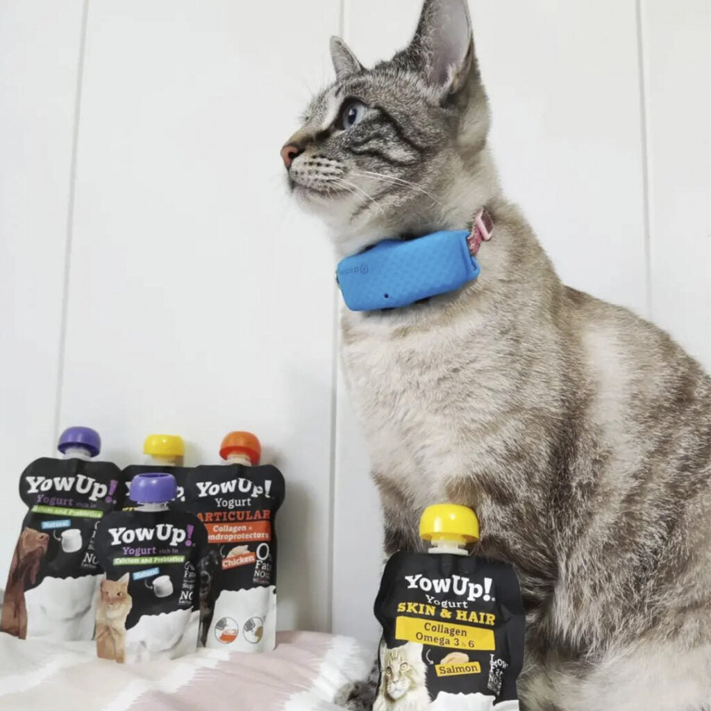 Yogur Funcional para Gatos Piel y Pelaje - Salmón Skin & Hair | YowUp