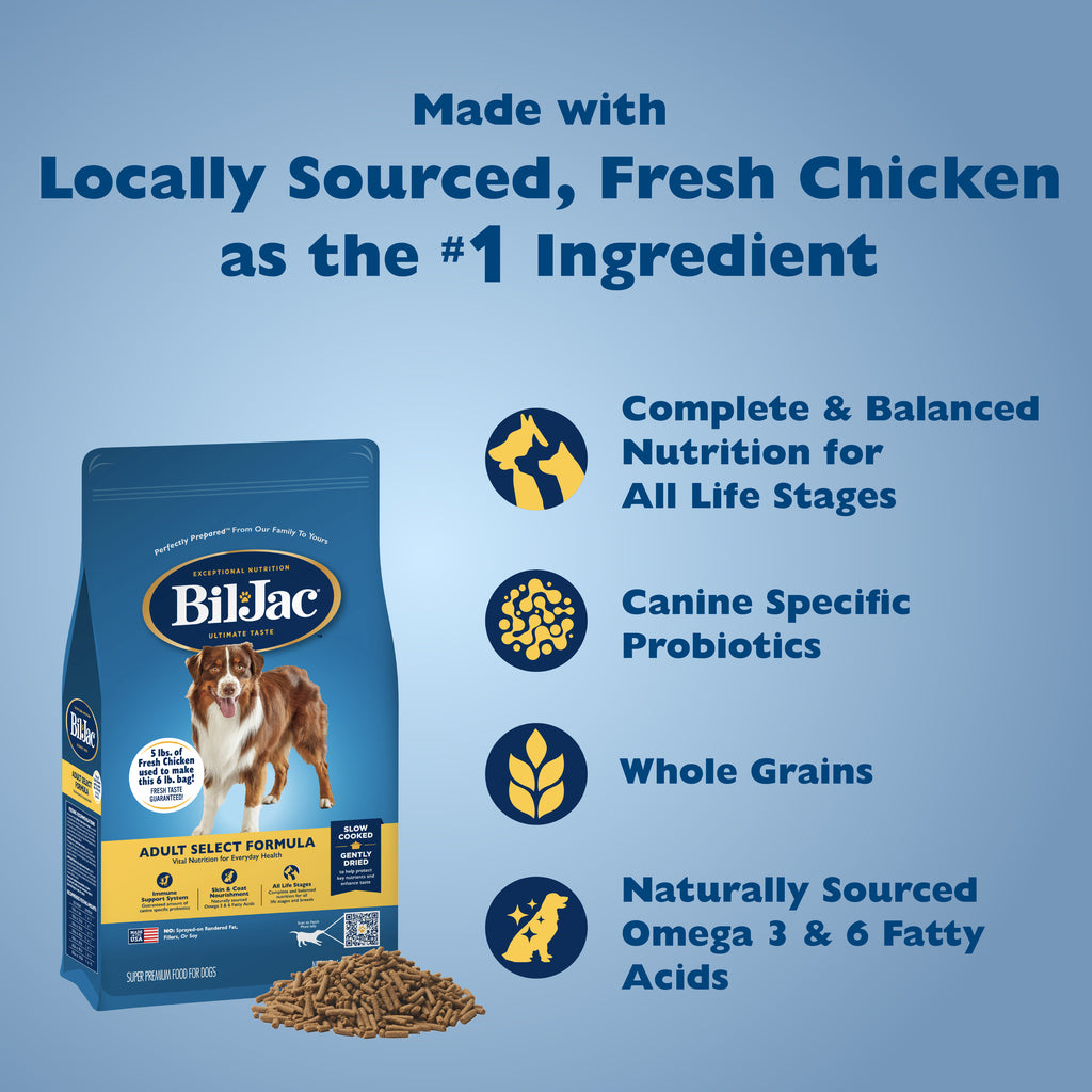 Alimento para Perros Adultos - Adult Select Formula con Pollo Fresco | Bil-Jac