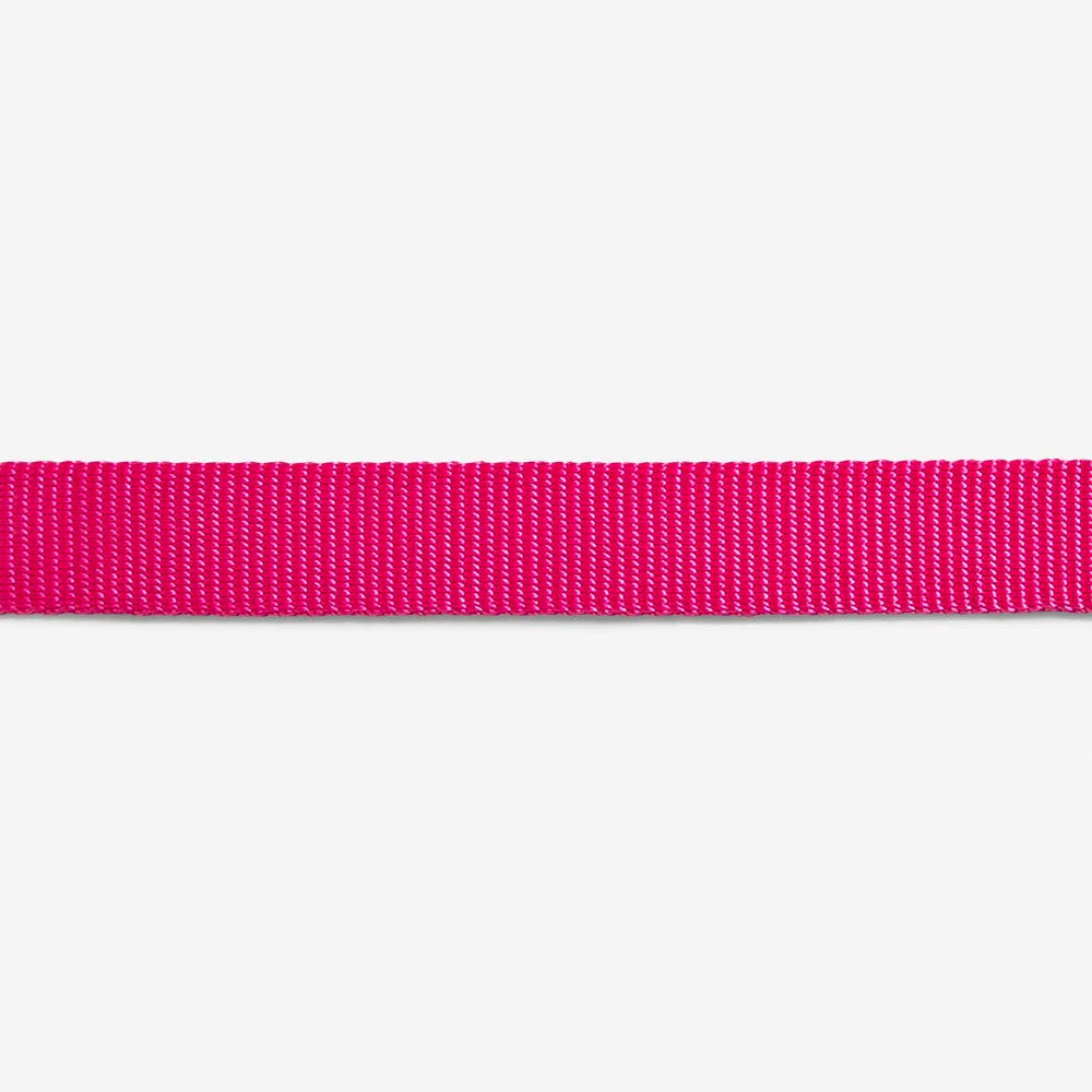 Collar para Gatos Pink LED - Rosa Brillante (Pink LED) | Zee.Cat