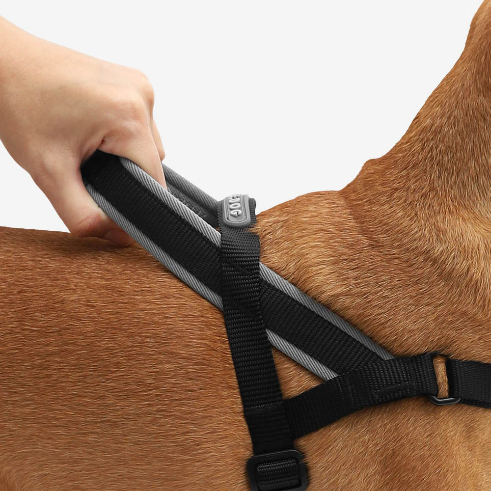 Arnés Anti-Tirones Gotham - Softer Walk Harness para Perros | Zee.Dog